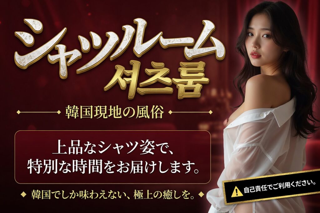 アガシネット｜韓国全域 最新風俗事情 | シャツルーム：江南ハイ（日本語対応不可）